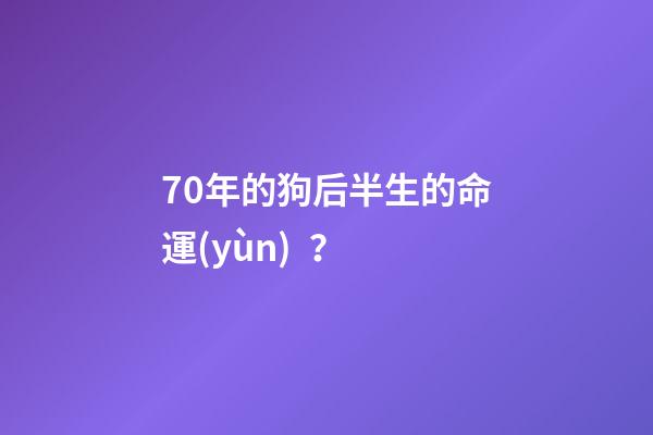 70年的狗后半生的命運(yùn)？(農(nóng)村老人說(shuō)：“雞不過(guò)六載，狗不過(guò)八年”，是啥意思？)-第1張-觀點(diǎn)-玄機(jī)派